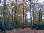 Landgoed Twickel